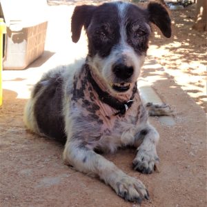 216991465_997939880965722_6979242719956089112_n