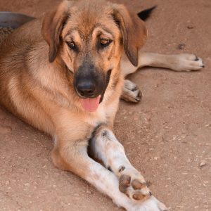 240788182_673026360326924_289692835779475260_n