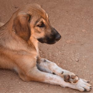 240976125_2675501176086695_7448516687004572773_n