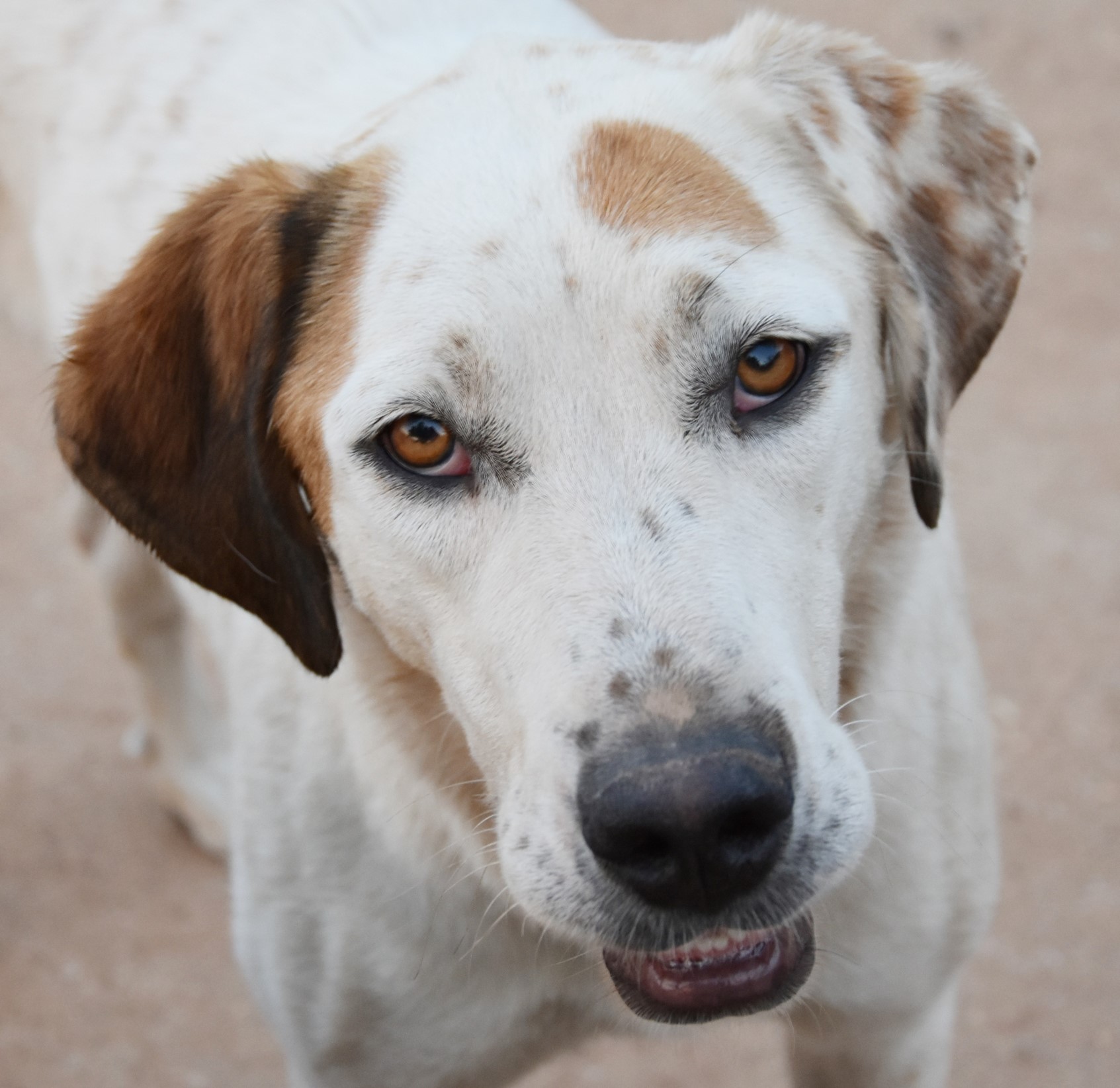 You are currently viewing Σίντυ –  Cindy