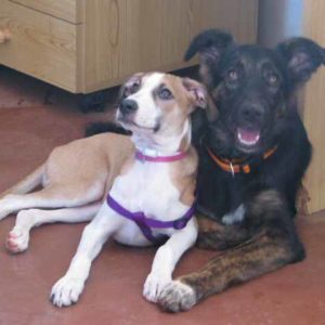 _Princess and Roubini-IMG_6106