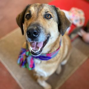 baxter november 2024 (11)