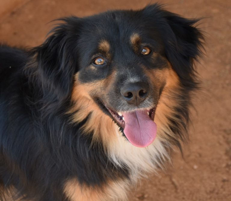 Read more about the article Σέηλορ – Sailor