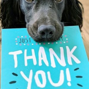 Ευχαριστούμε – Thank you!