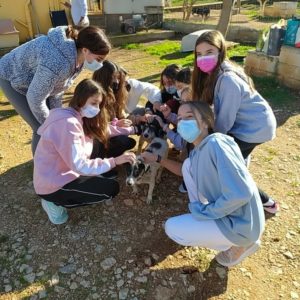 Πρότυπο Εκπαιδευτήριο Αθηνών