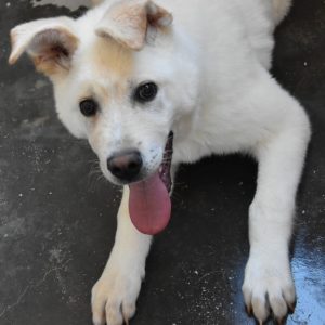 275584187_2796993587264240_1361016870746928153_n