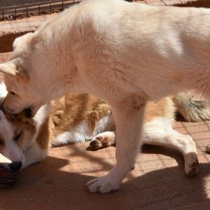 277613643_5001836256569959_9057176136748299330_n