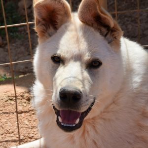 277702767_675100436867102_1244599345309036455_n