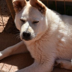 277834529_766875784288537_7187039828125798636_n