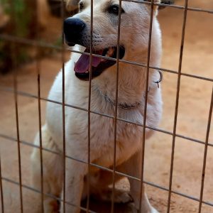 305205685_5790633117621846_7643404157176179937_n