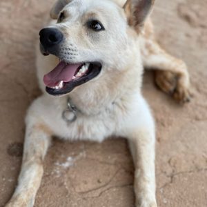 305213023_5795012243850600_5169679287583521086_n