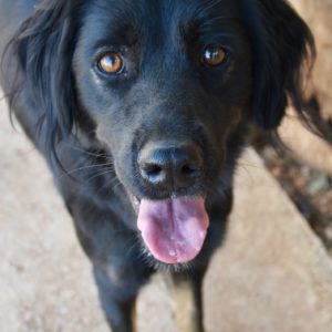 Μπέλντα – Belda