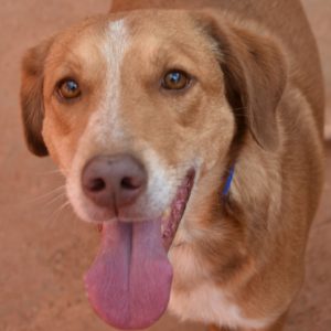 Φάνκο – Fanco