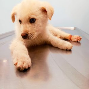 262400058_4923779967640503_3521940904772352559_n