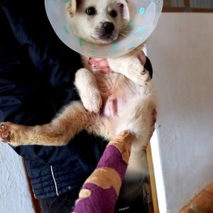 267466093_4971941989490967_7457245145244620498_n