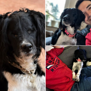 Κάρλα – Carla