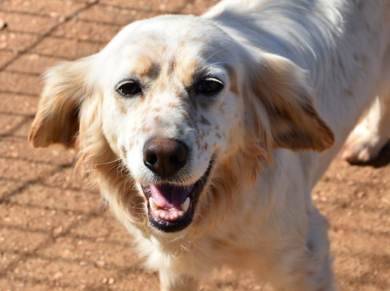 Read more about the article Αλίβια – Alivia