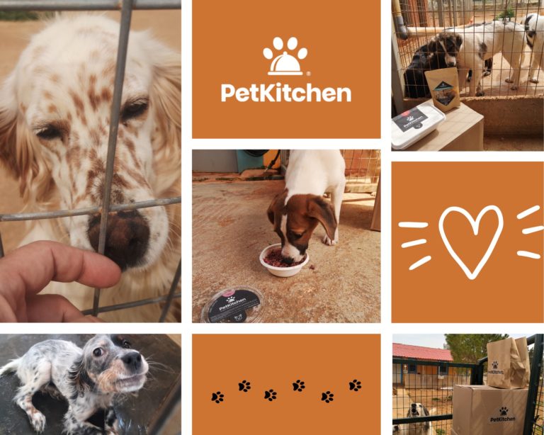 Read more about the article Pet Kitchen Δωρεά Γευμάτων