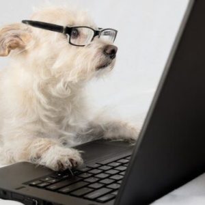 Διαδικασία Υιοθεσίας