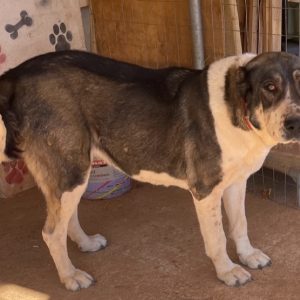 312228550_5938770469474776_16108744686815058_n