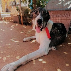 287148607_5565216793496814_4482054104979064312_n