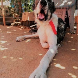 289332738_5565216030163557_6749571367918870762_n