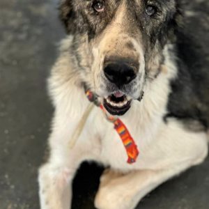 291677128_5615396368478856_8338121812229993725_n