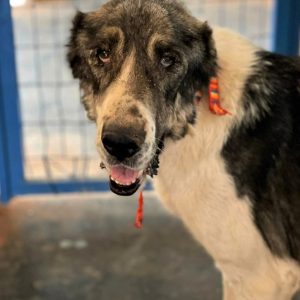 291888414_5615395641812262_8671020910625345442_n