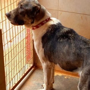 293241308_5624800784205081_304897354518084336_n