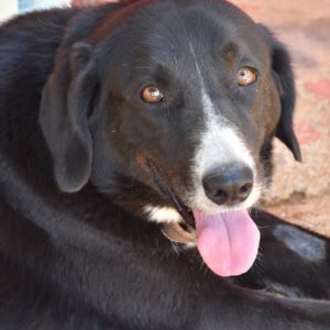 Ματίνα – Matina