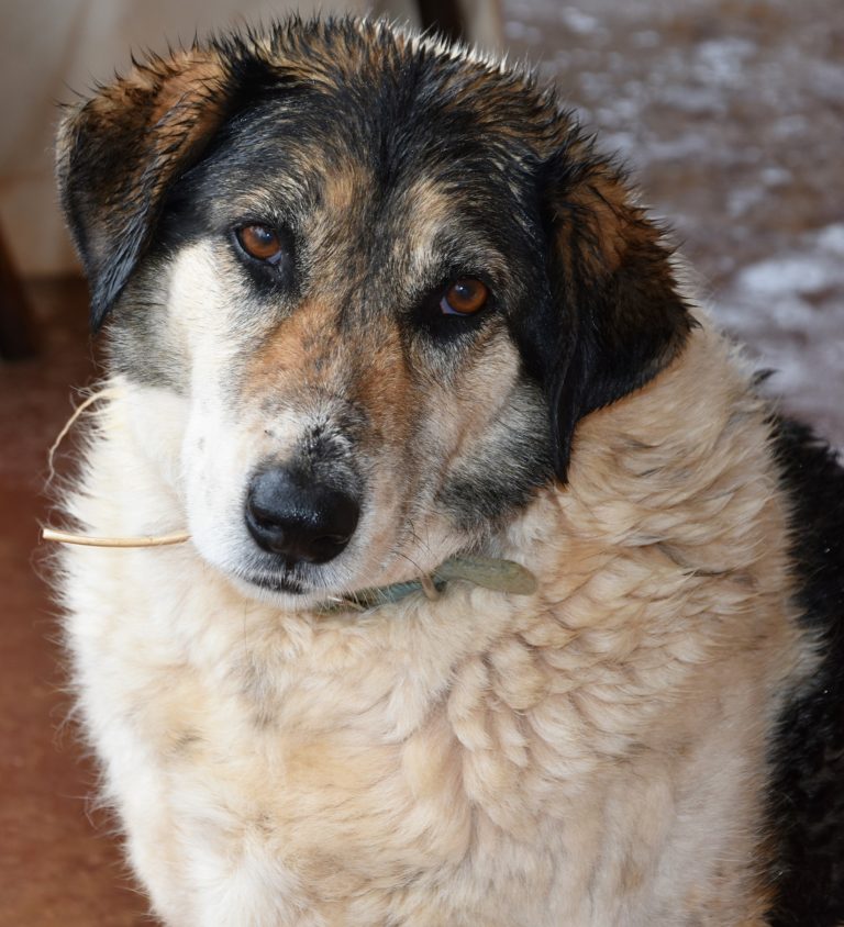 Read more about the article Σόλων – Solon