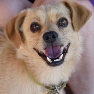 Χάικερ – Hiker