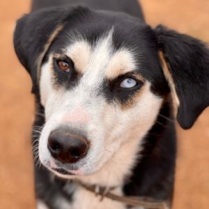 Στόρμ – Storm