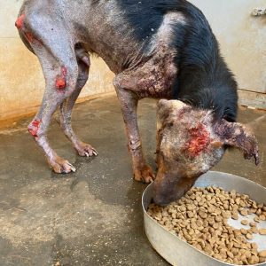 4f2a2f47-9359-46e1-b133-f8f5e876a31b