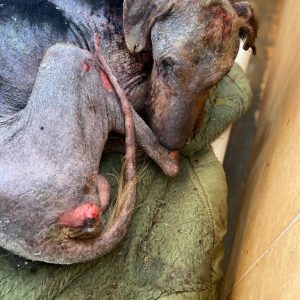 f7eee859-f93a-4e44-9eae-4a380f18cf5f