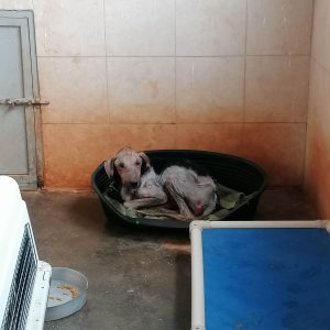 335894773_169666269227984_3647517389468630806_n