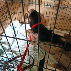 336606389_739498587765547_1241785008434728651_n