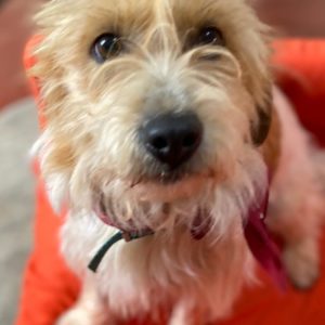 Αρίτα – Arita