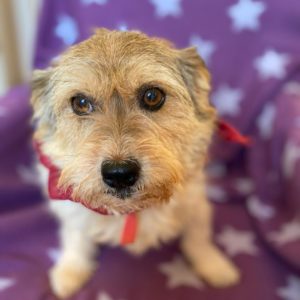 Πέππη- Peppi (Μικρή!)