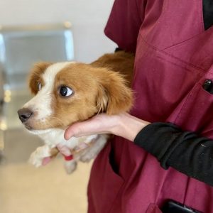 405066590_744437444389683_6283984709906119850_n