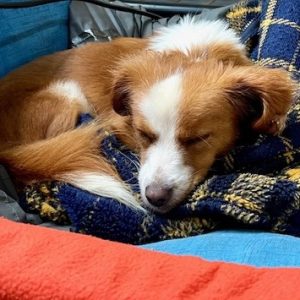 432309068_811381701028590_414450121448137621_n