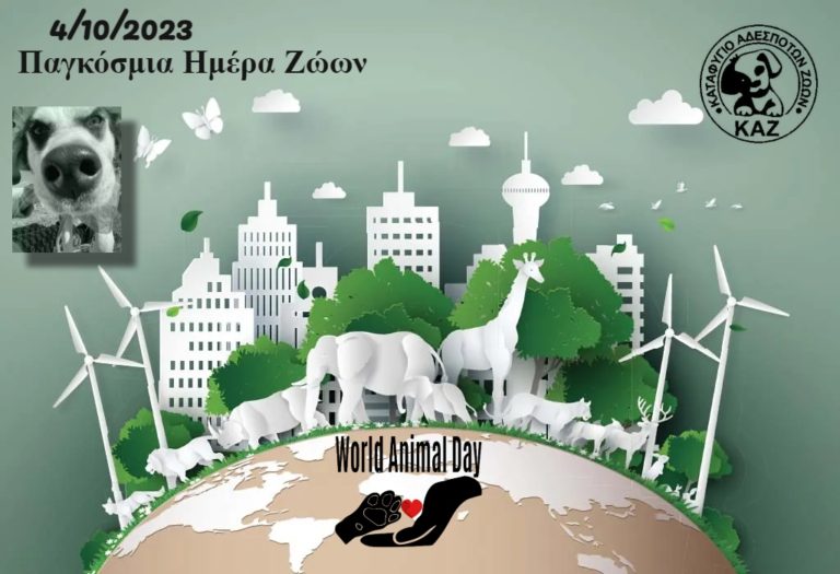 Read more about the article Παγκόσμα Ημέρα Ζώων