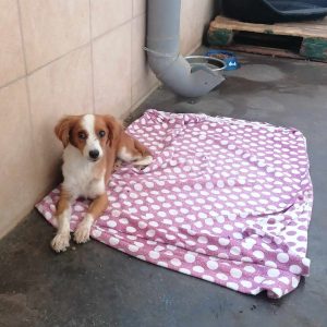 384156417_1299650087350868_769589042574411372_n