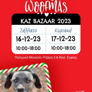 Χριστουγεννιάτικο Bazaar KAZ – Christmas Bazaar KAZ 2023