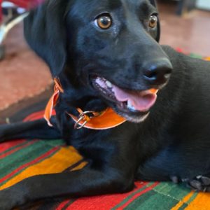 Μπέτυ – Betty