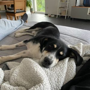 05d5ea21-4781-45d5-975f-92bafce820ef