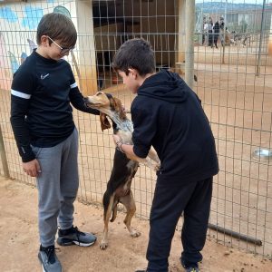 403421841_2629263517244973_2909456612845968293_n