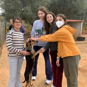 412623929_346588058117560_5584607497598500363_n