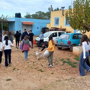 412648660_859769692549050_6869788123234994300_n