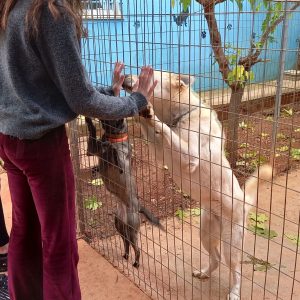 412654649_883185563304493_2439254184986525666_n